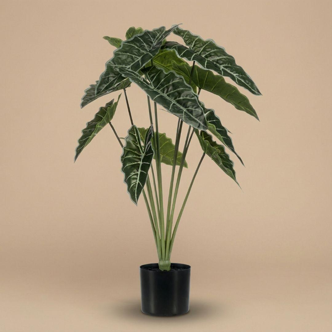 Alocasia 80cm - Kunstplant - Artificial plant