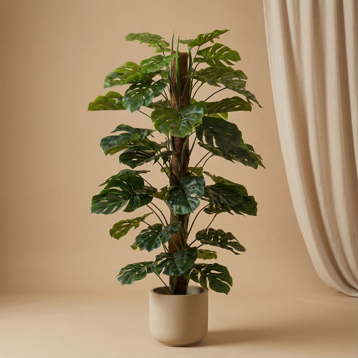 Monstera op stam 150 cm - Kunstplant - Artificial Plant