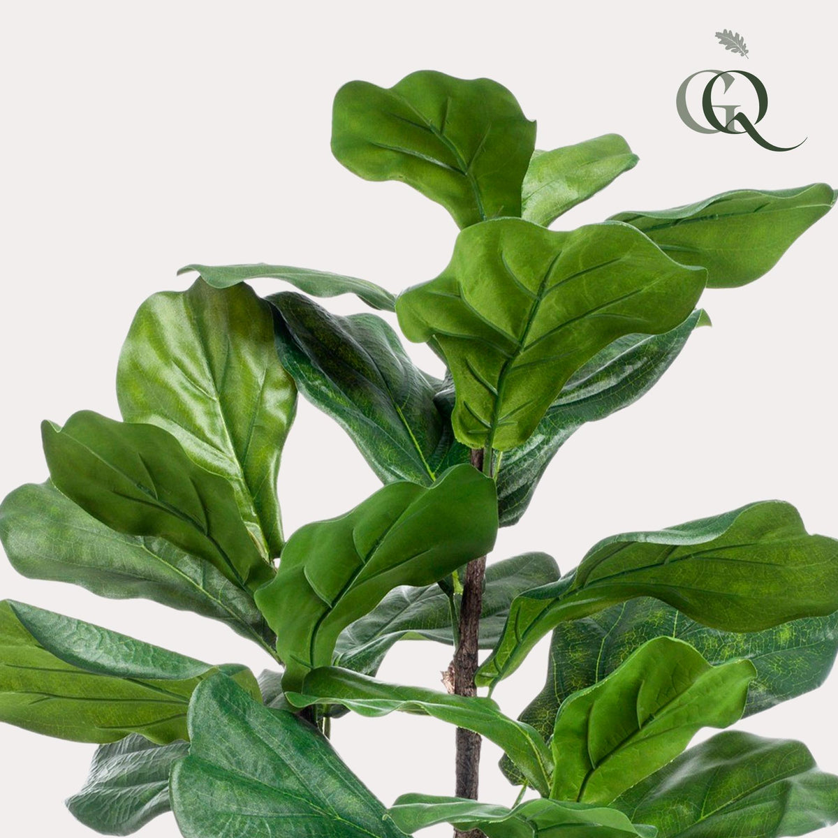 Kunstpflanze - Ficus Lyrata - Tabakspflanze