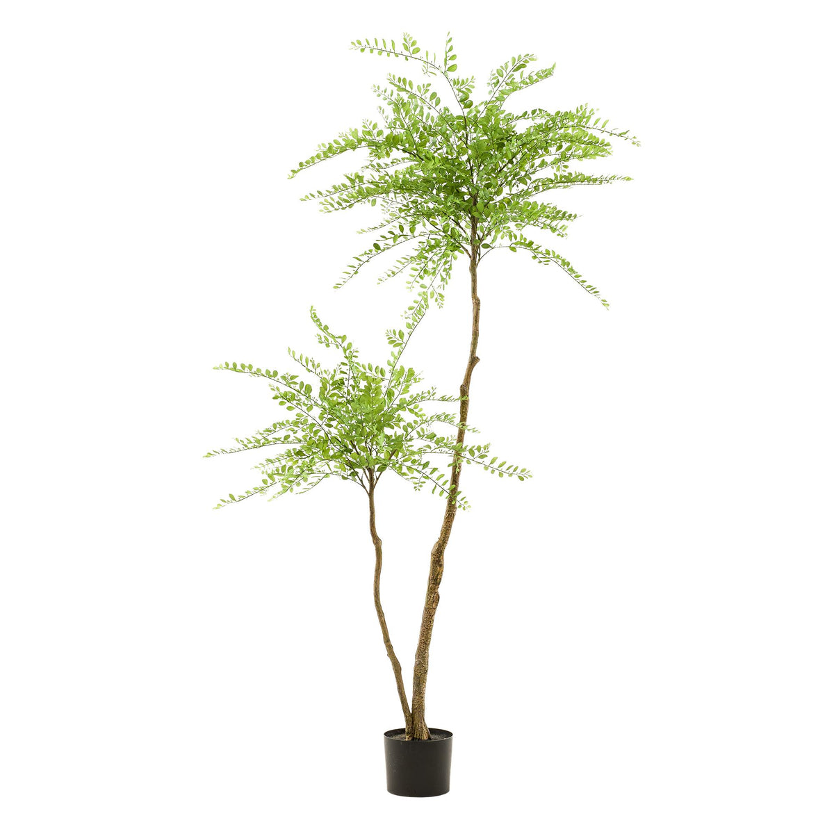kunstplant - Sophora tree  - Honingboom