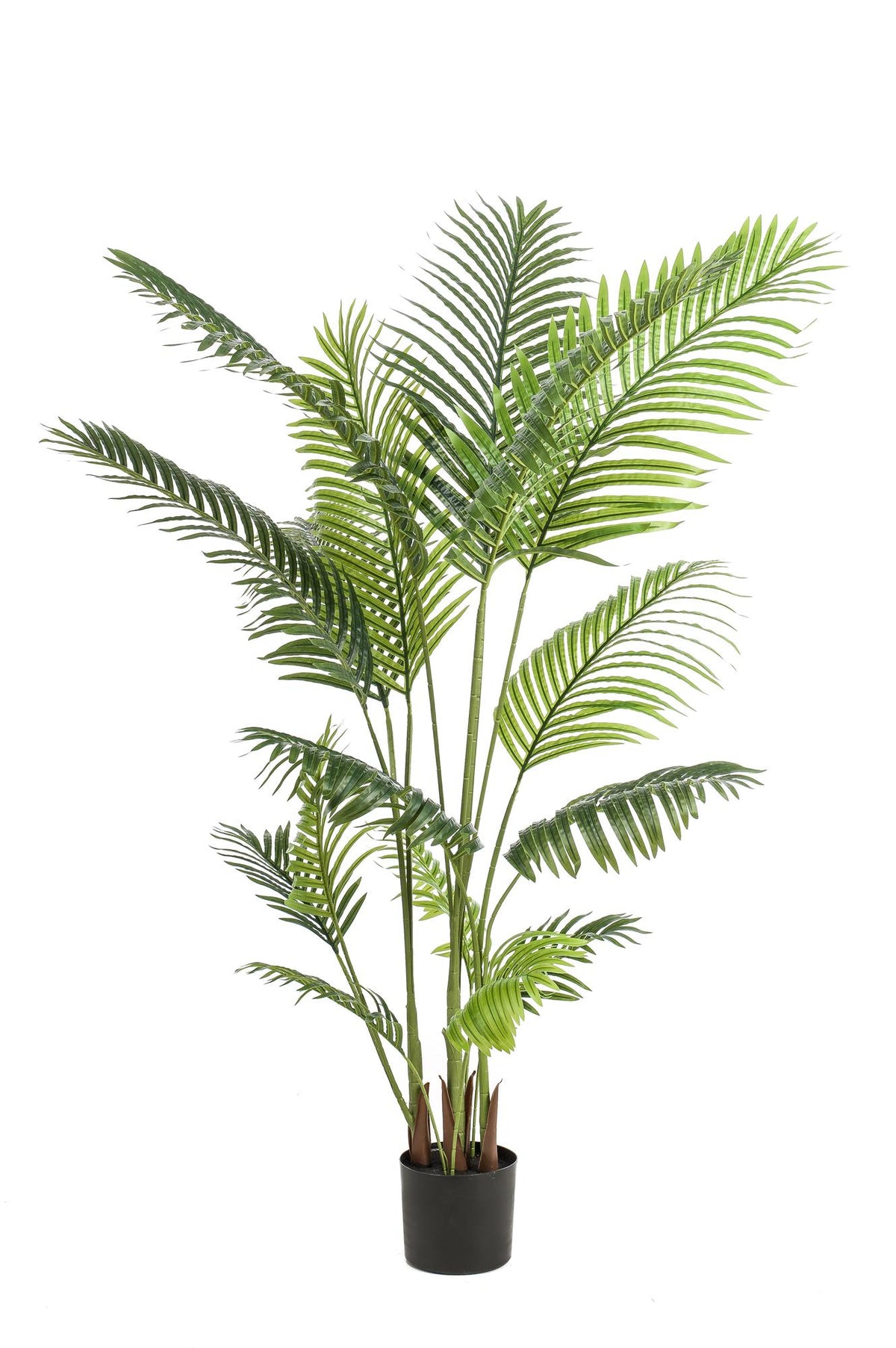 Kunstpflanze - Howea Forsteriana