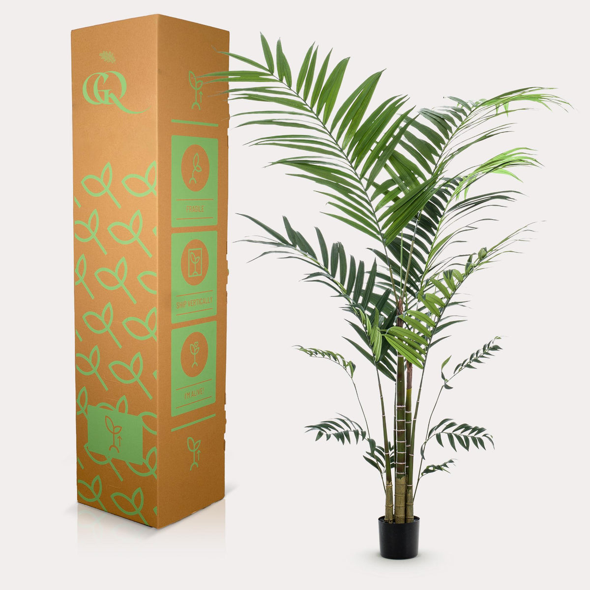 Kunstplant - Kentia -Kentiapalm