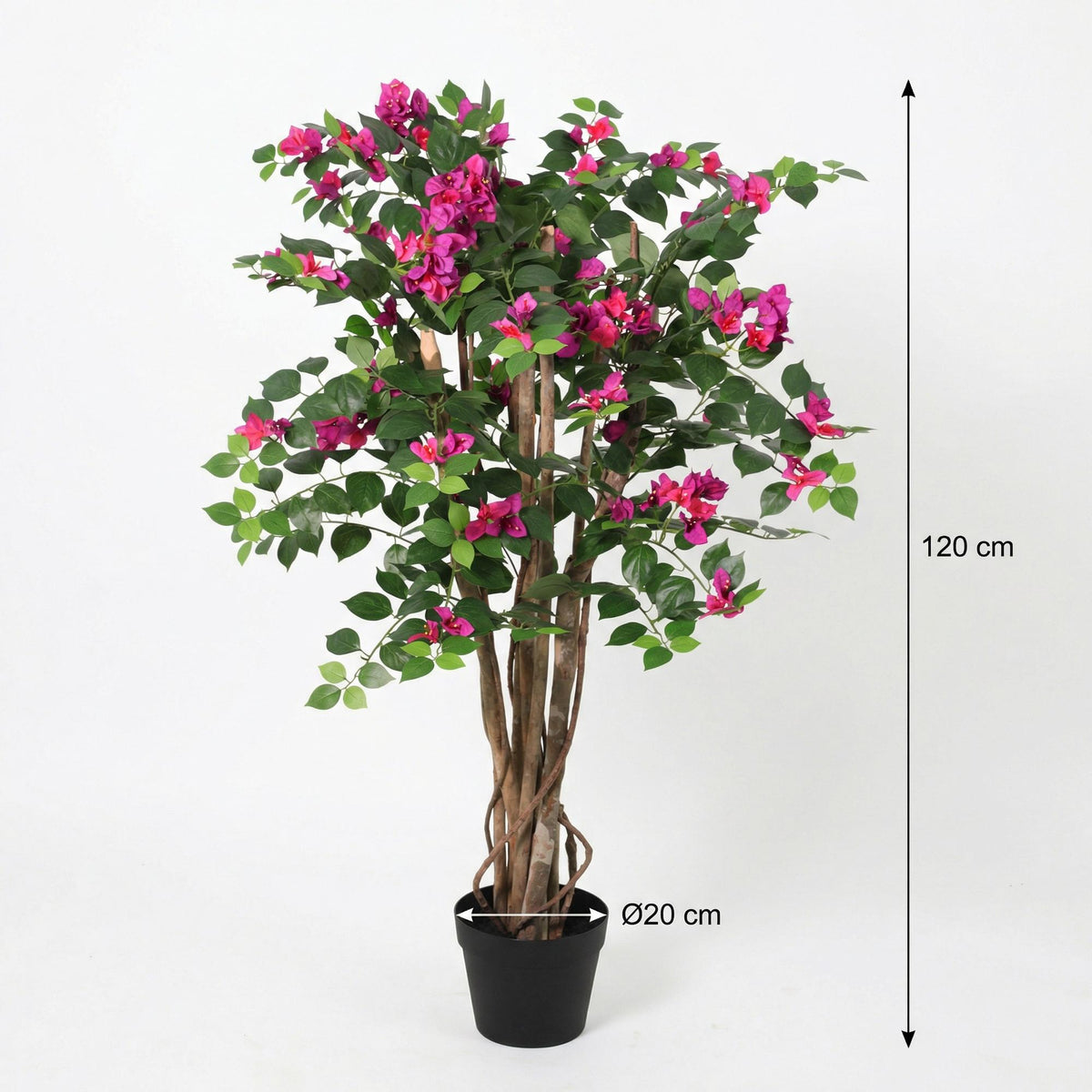 ARTIFICIAL Bougainville