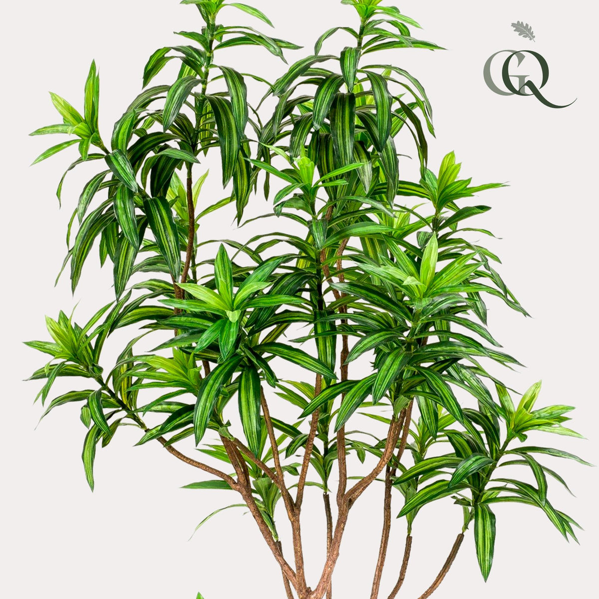 Kunstpflanze - Dracaena - Drachenbaum