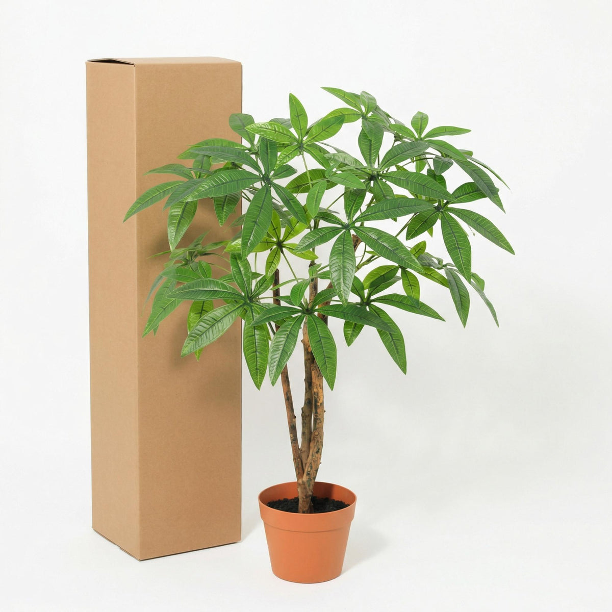 ARTIFICIAL Pachira Aquatica
