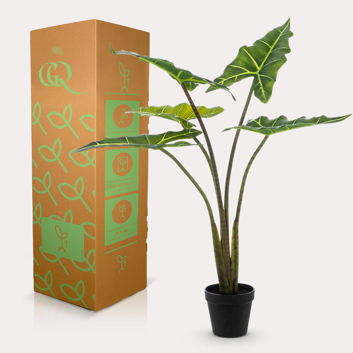 Kunstpflanze - Alocasia Frydek