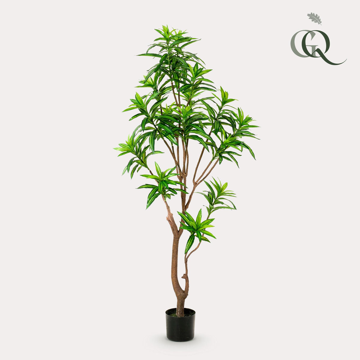 Kunstpflanze - Dracaena - Drachenbaum