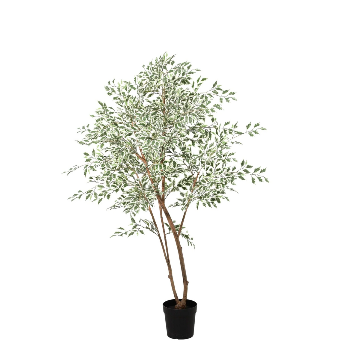 ARTIFICIAL Ficus benjamina variegata