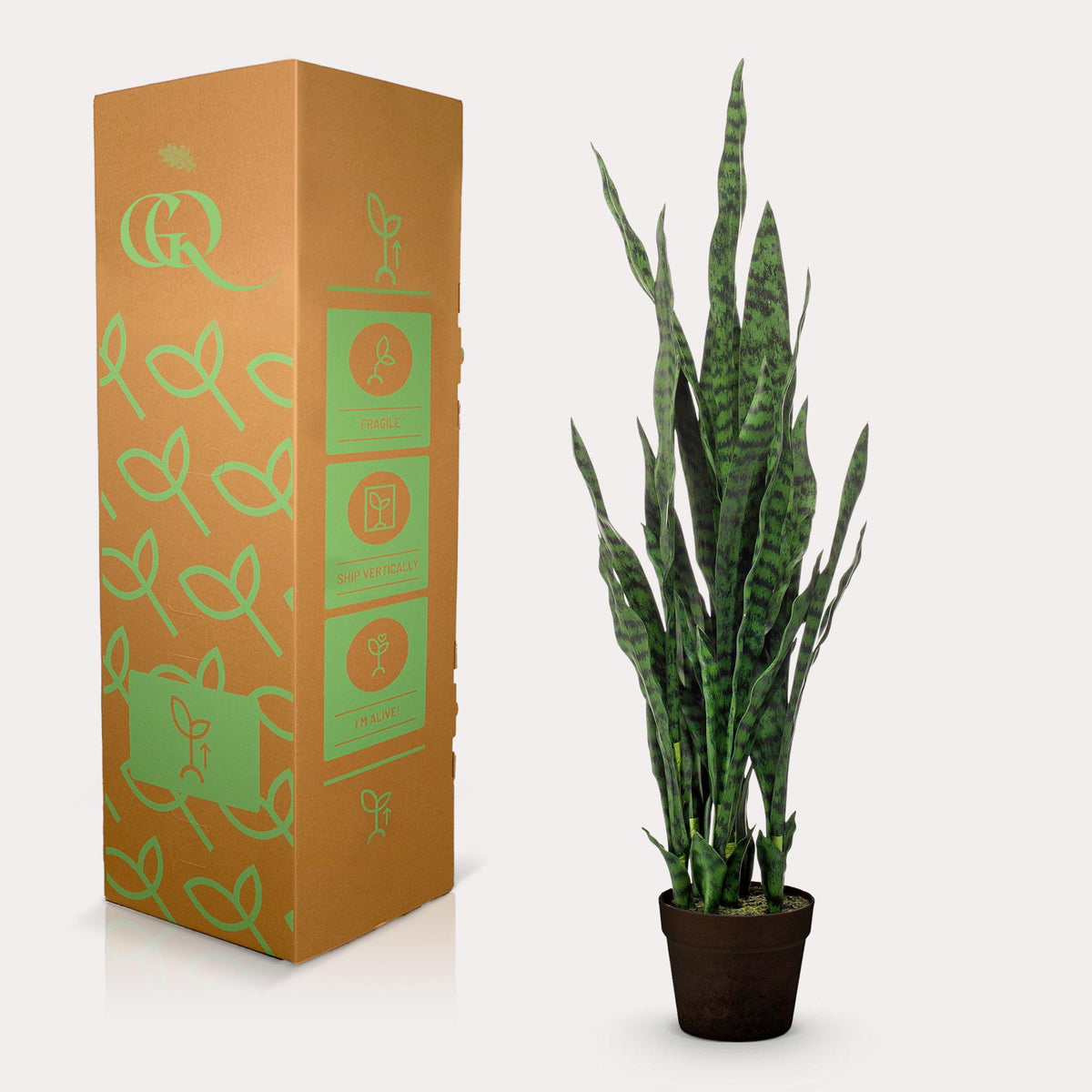 Kunstpflanze - Sansevieria Black Coral - Bogenhanf