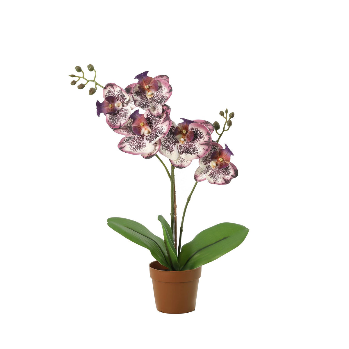 ARTIFICIAL Phalaenopsis orchid purple
